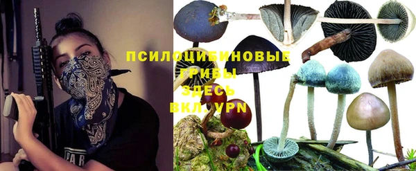 меф Арсеньев