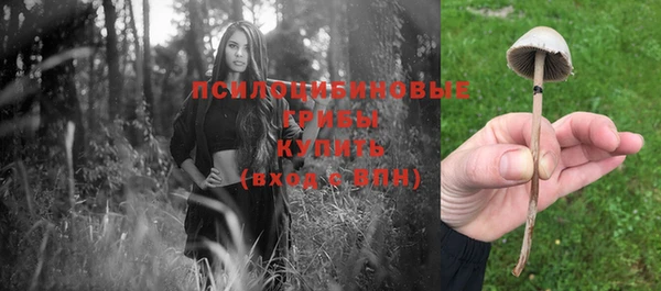 меф Арсеньев