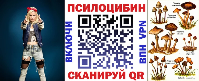 Псилоцибиновые грибы Psilocybe  Шадринск 